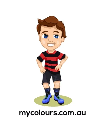 Fanbrush - Black & red face paint for supporters of the Essendon Bombers AFL team and the North Sydney Bears NRL