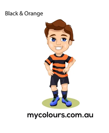 My Colours- Black-Orange face paint